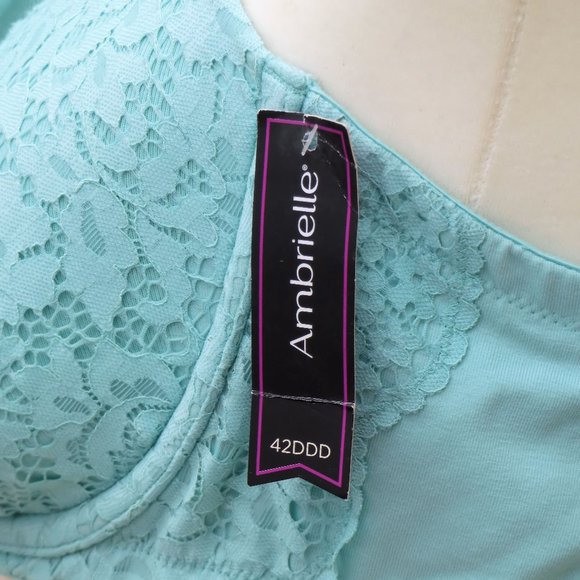 NEW!!! Ambrielle Aqua Bra Size 42DDD or 42F - Picture 5 of 7